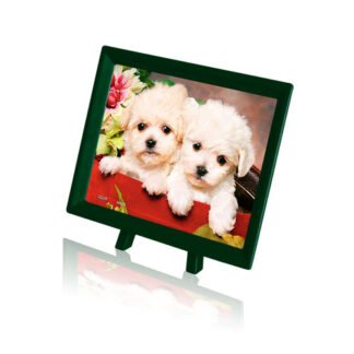 A Seashell on the Beach featuring two small white dogs in a green frame.
