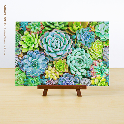 Succulent Wall, Pintoo Taiwan XS jigsaw puzzle