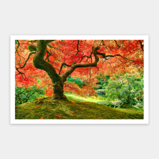 Japanese Garden in Portland - Showpiece 1000