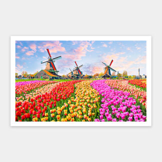 Zaanse Schans, Netherlands - Showpiece 1000