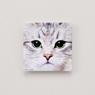 Close Up of Kitten - Puzzle Magnet