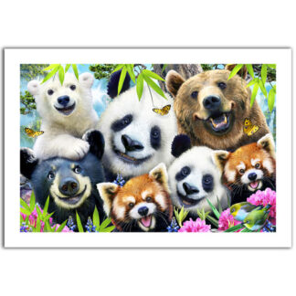 Selfie Bear Essentials by Howard Robinson - Showpiece 600